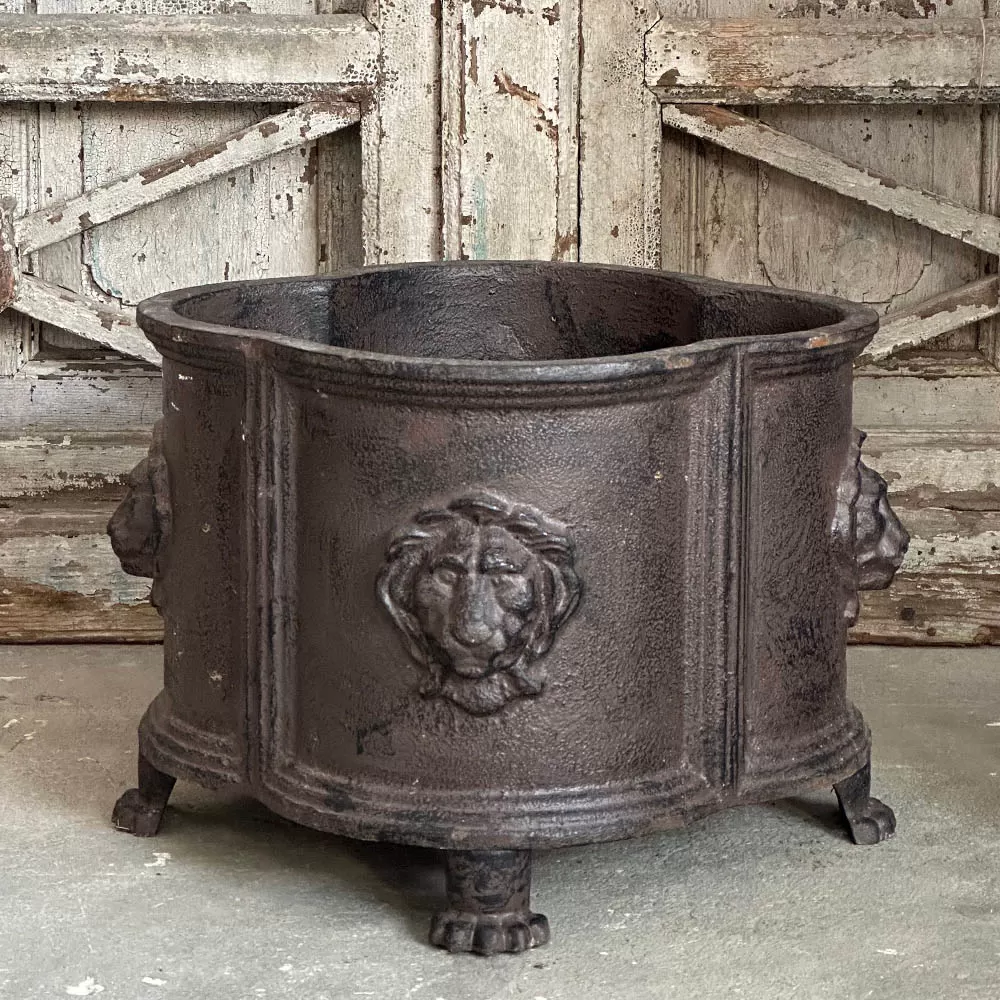 Cast Iron  Lion Flowerpot