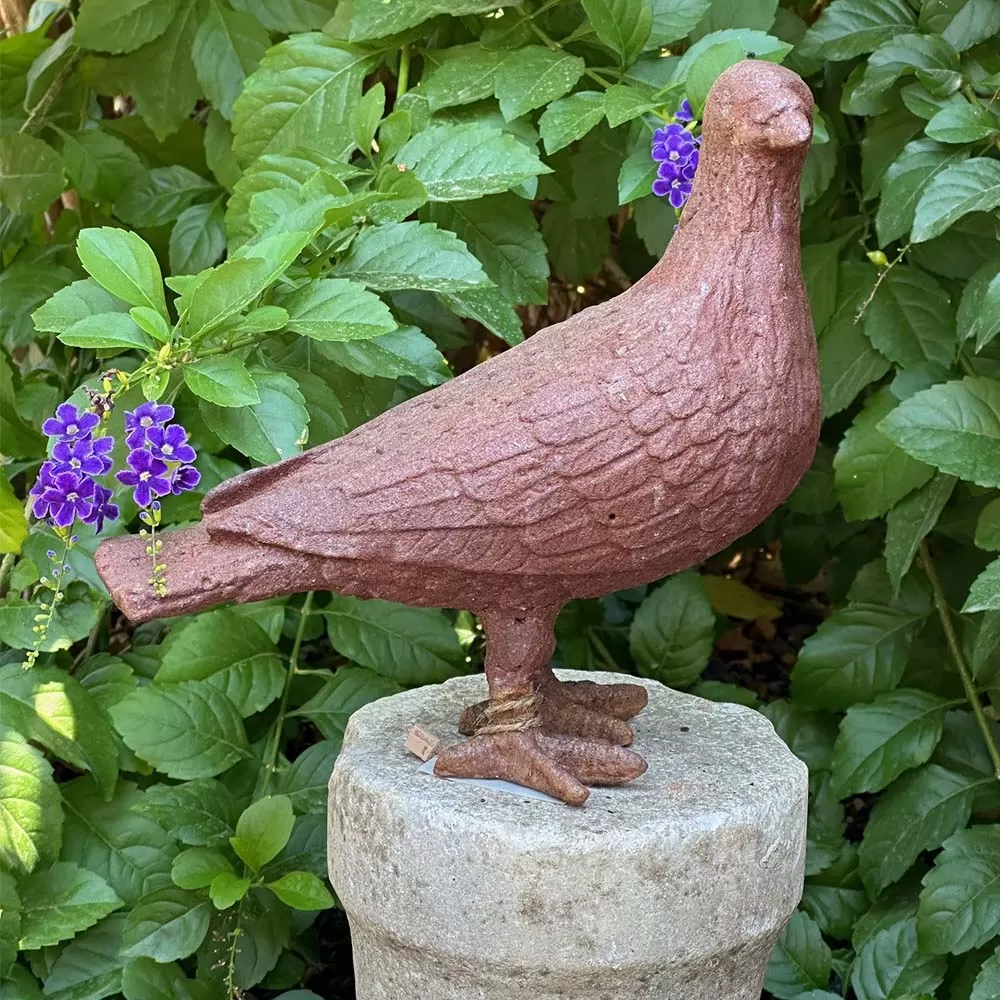 Cast Iron Pigeon