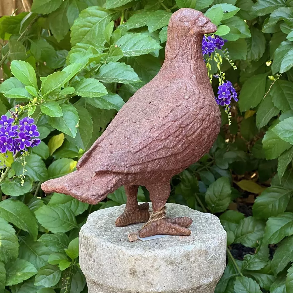 Cast Iron Pigeon