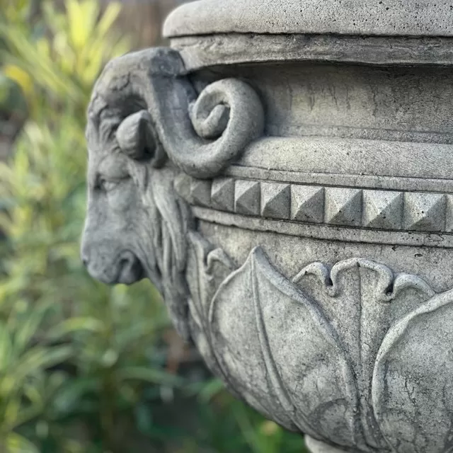 Beton Döküm Koç Başlı Kozalak/Vazo