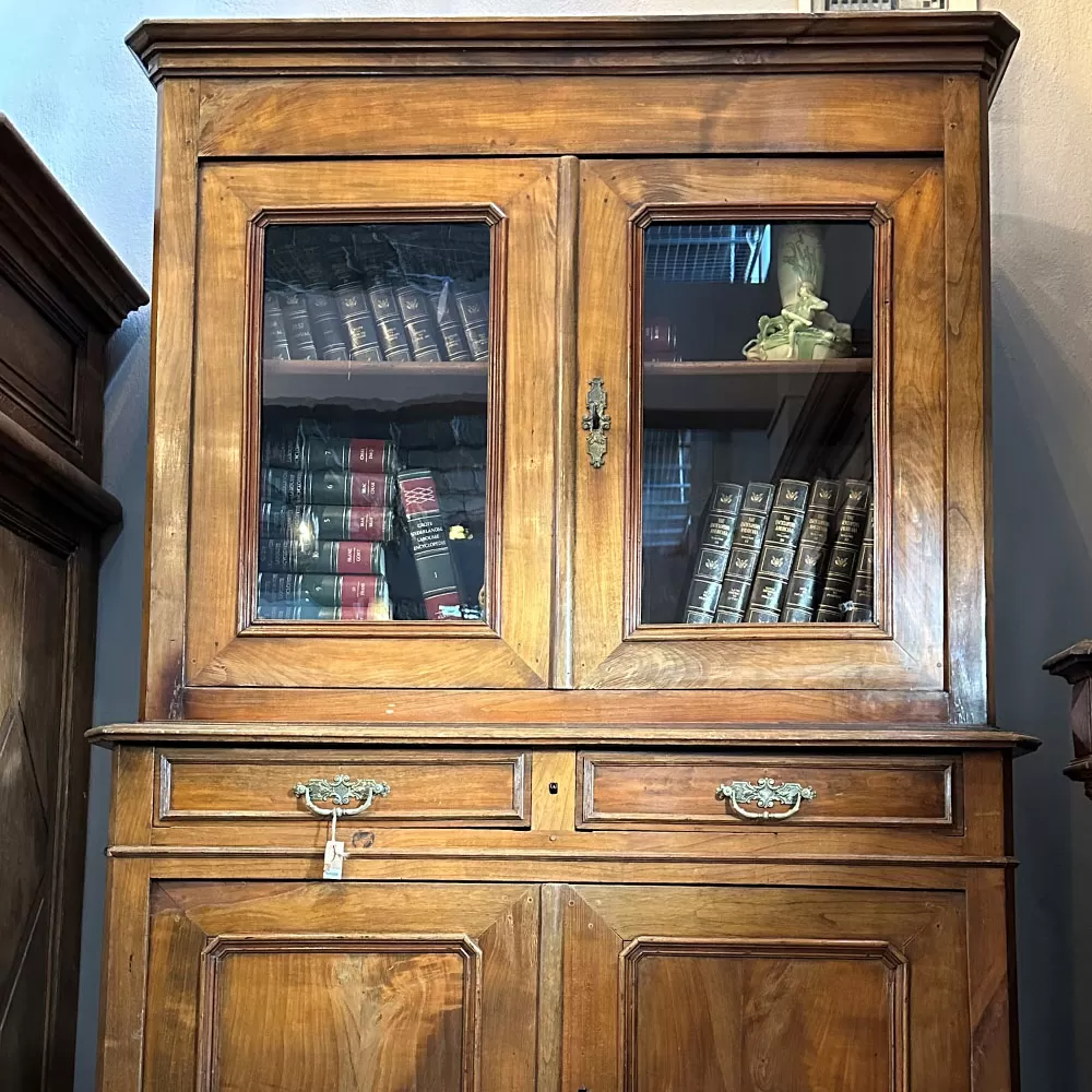 Oak Tree Old  Wooden Cabinet