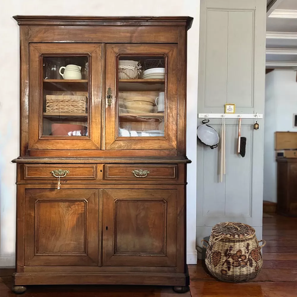 Oak Tree Old  Wooden Cabinet