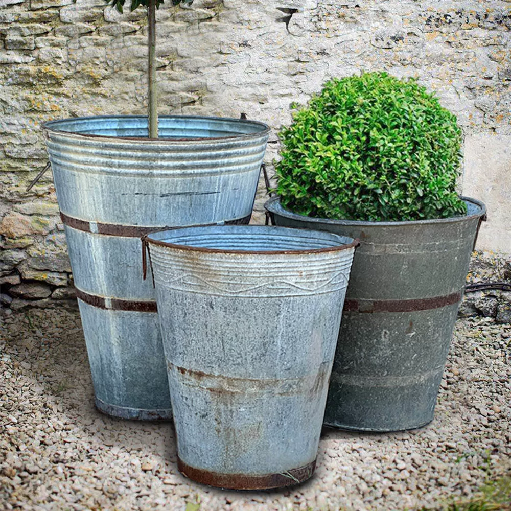 Galvanized Large Buckets