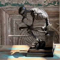 Bronze Skeleton Sculpture