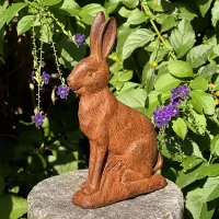 Cast Iron Rabbit