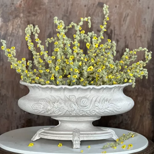 Cast Iron Flowerpot Vase