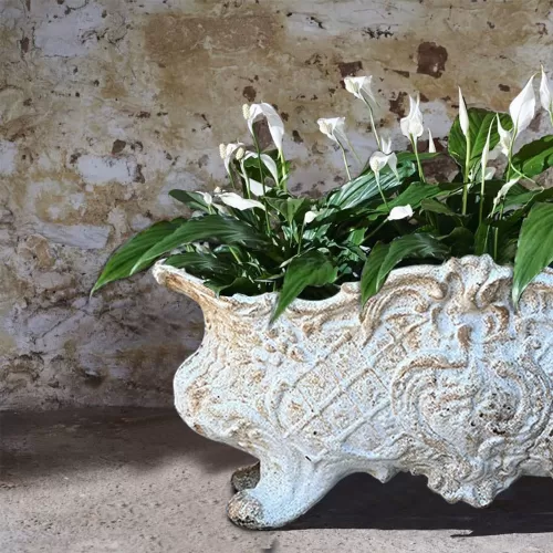 Cast Iron White Flower Pot