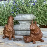 Cast Iron Squirrel