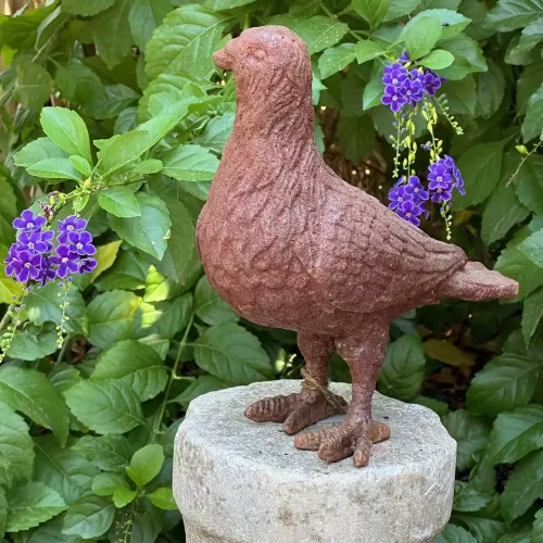 Cast Iron Pigeon