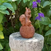 Cast Iron Squirrel