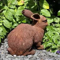 Cast Iron Rabbit