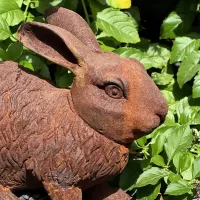 Cast Iron Rabbit