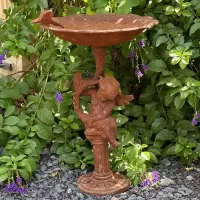 Cast Iron Bird Pool