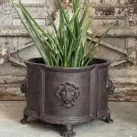 Cast Iron  Lion Flowerpot
