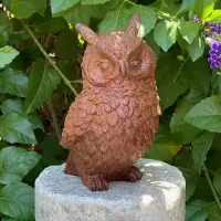 Cast Iron Owl